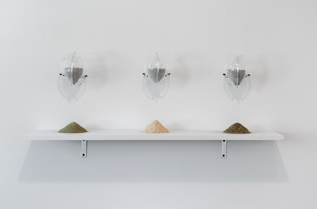 Image: Mariana Noreña, Territorio Semilla, 2024. Blown glass and ashes. Three clear glass containers attached to the wall, all three containing grey dust. Underneath each, on a white shelf, is a small mound of particulate. From left to right, these mounds are colored light green, cream, and dark green. Photo by Jonas Müller-Ahlheim.